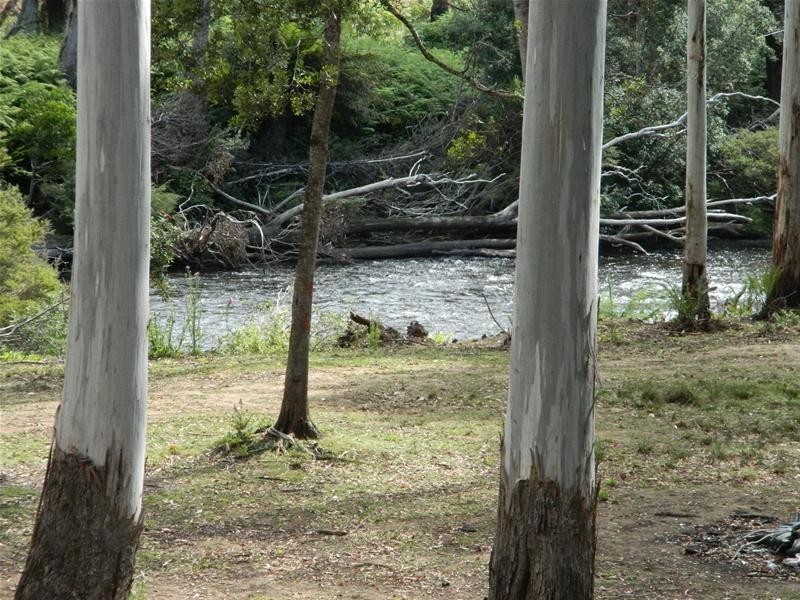 3 Harveys Road, North Motton TAS 7315
