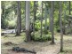 3 Harveys Road, North Motton TAS 7315