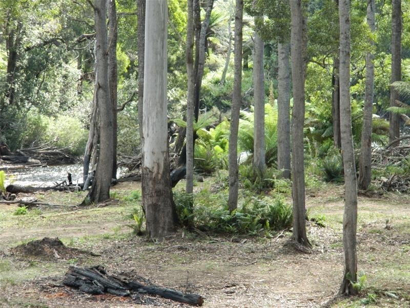 3 Harveys Road, North Motton TAS 7315