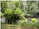 3 Harveys Road, North Motton TAS 7315