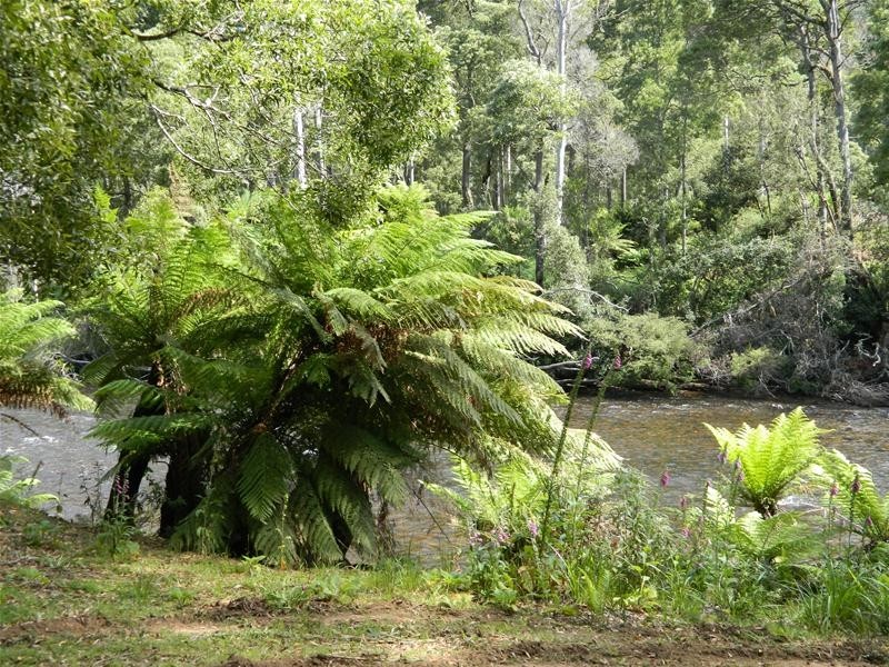 3 Harveys Road, North Motton TAS 7315