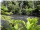3 Harveys Road, North Motton TAS 7315