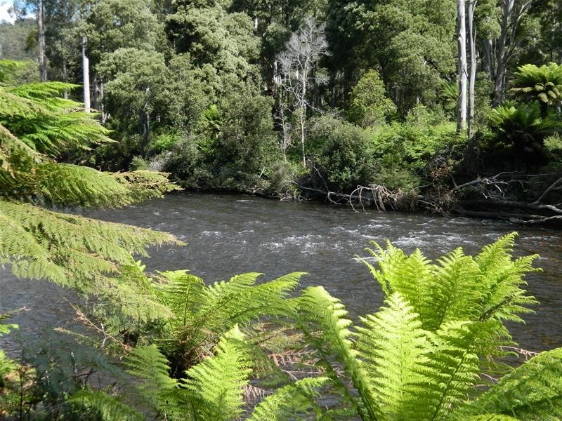 3 Harveys Road, North Motton TAS 7315
