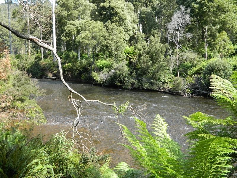 3 Harveys Road, North Motton TAS 7315