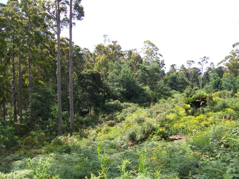 968 Ironcliffe Road, Penguin TAS 7316