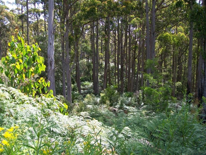 968 Ironcliffe Road, Penguin TAS 7316