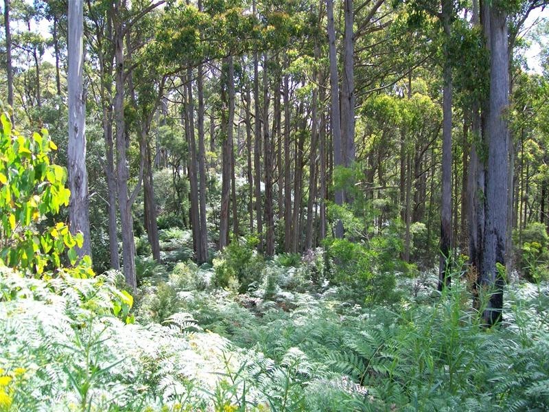 968 Ironcliffe Road, Penguin TAS 7316