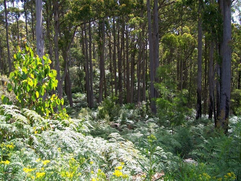 968 Ironcliffe Road, Penguin TAS 7316