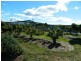 138 Bellingers Road, Abbotsham TAS 7315