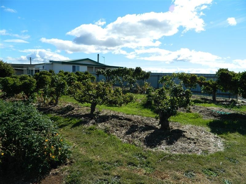 138 Bellingers Road, Abbotsham TAS 7315