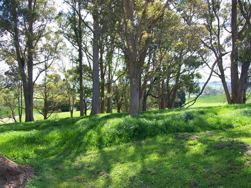 215 Jansens Road, South Riana TAS 7316