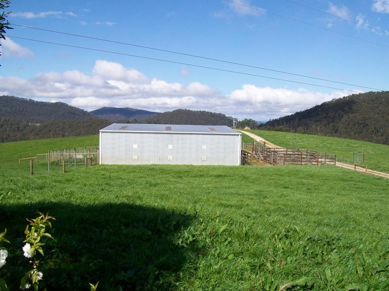 215 Jansens Road, South Riana TAS 7316