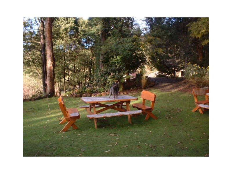 321 Raymond Road, Gunns Plains TAS 7315