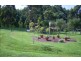 86 Hardys Road, Penguin TAS 7316