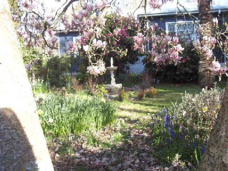 Gunns Plains TAS 7315