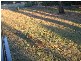 Ulverstone TAS 7315