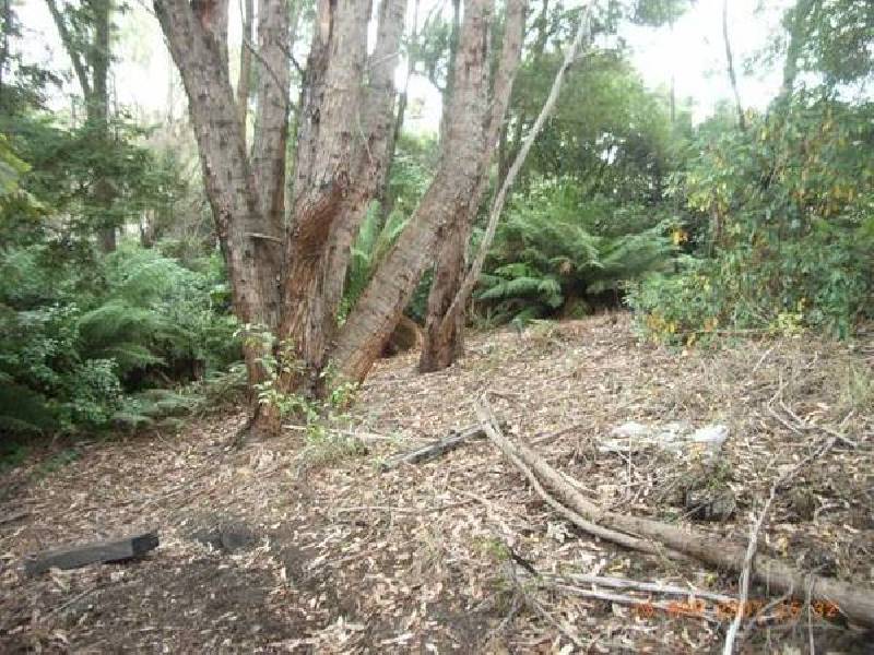 3 Forth Road, Forth TAS 7310