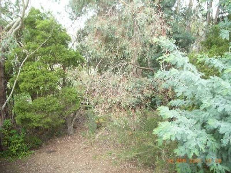 3 Forth Road, Forth TAS 7310