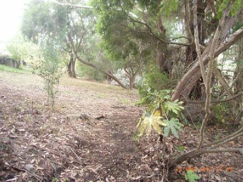 3 Forth Road, Forth TAS 7310