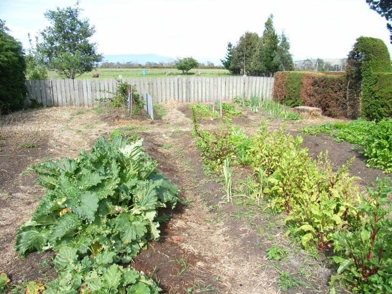 12819 Midland Highway, Cleveland TAS 7211