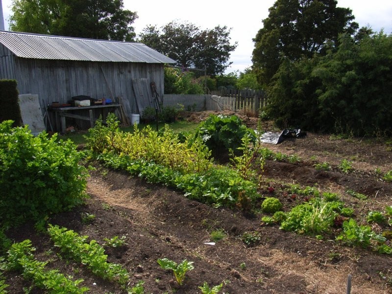 12819 Midland Highway, Cleveland TAS 7211