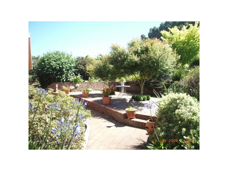 818 Preston Road, North Motton TAS 7315