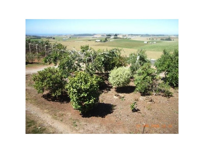 818 Preston Road, North Motton TAS 7315