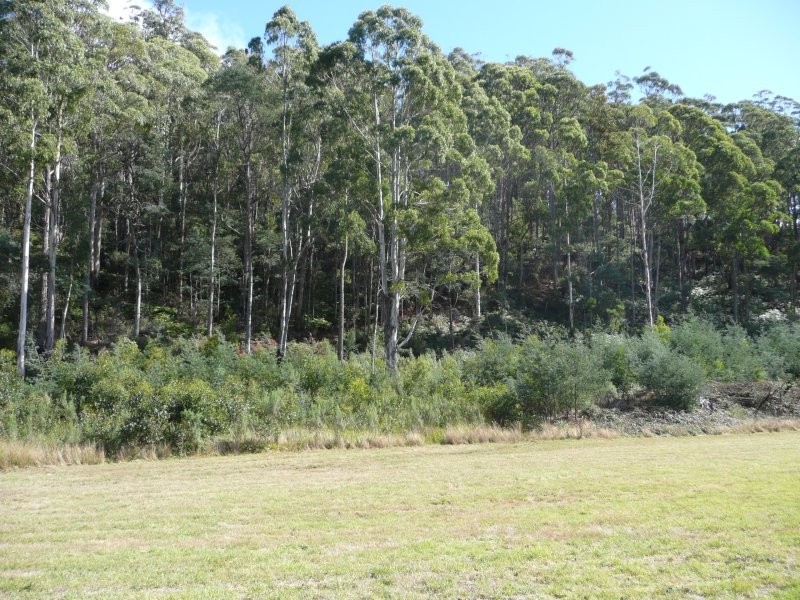 311 Wilmot Road, Forth TAS 7310