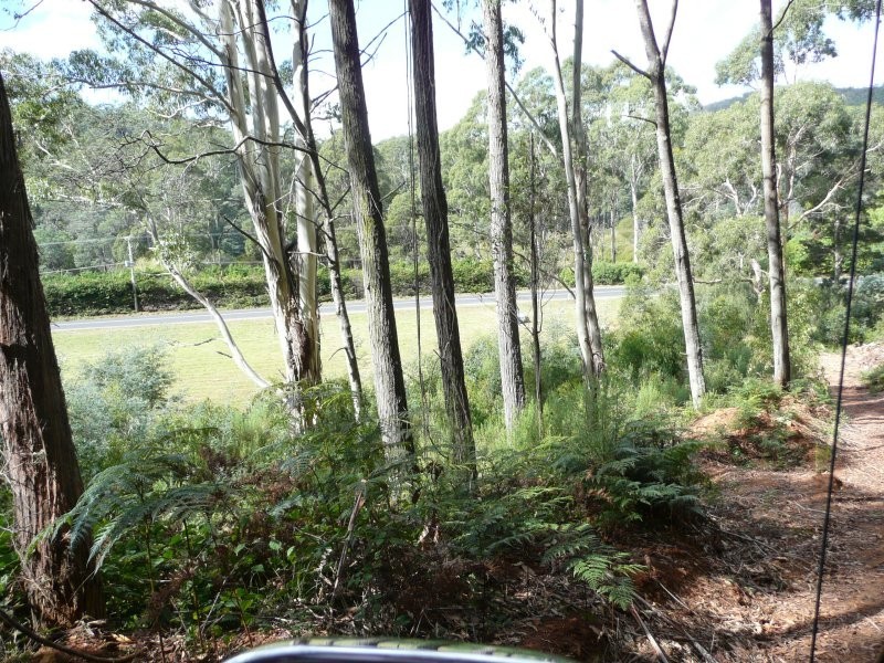 311 Wilmot Road, Forth TAS 7310