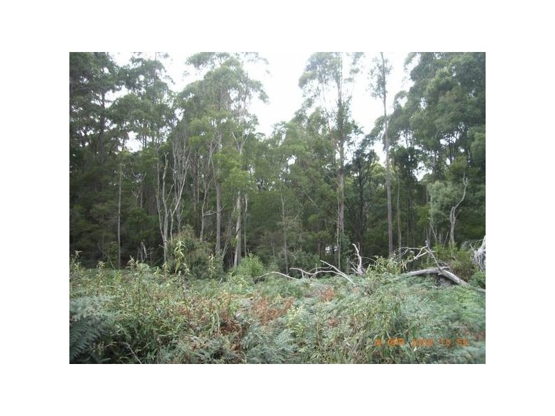 Dial Road, Penguin TAS 7316