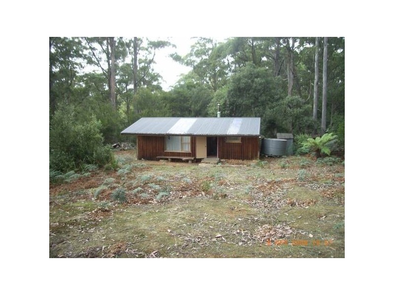 Dial Road, Penguin TAS 7316