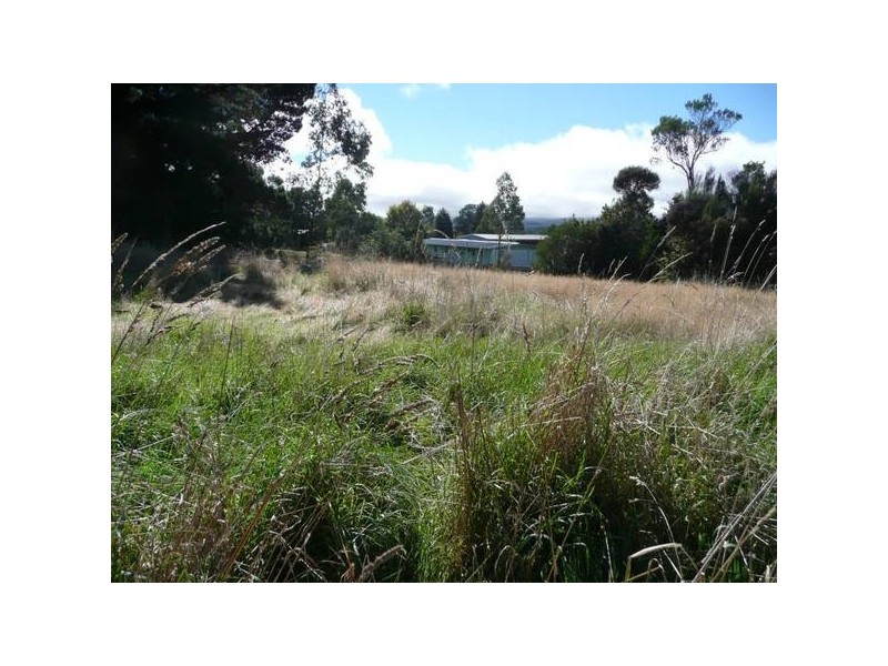 34 Pillinger Street, Zeehan TAS 7469