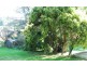 3 Ironcliffe Court, Penguin TAS 7316