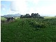 440 Preston Road, North Motton TAS 7315