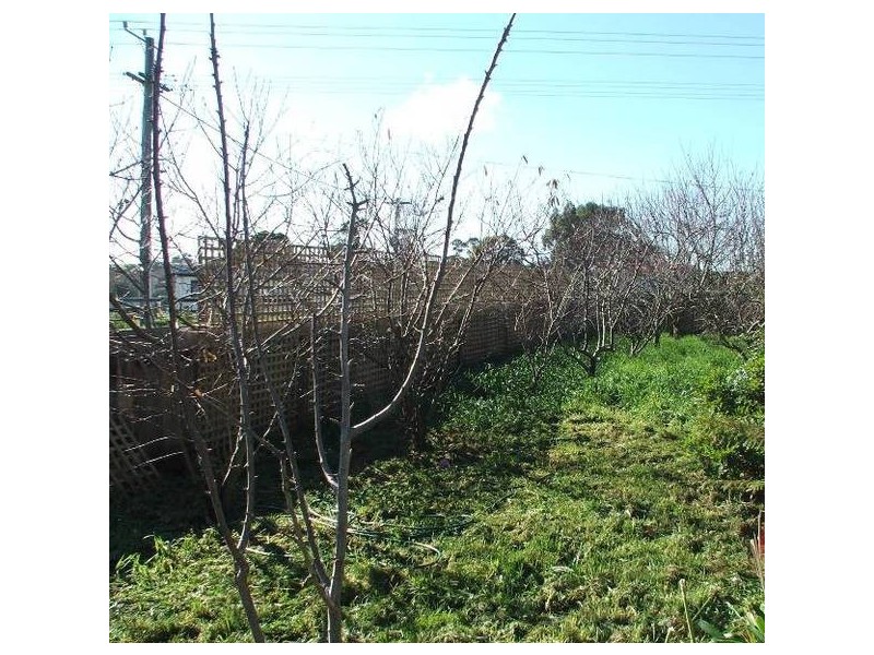 568 Preston Road, North Motton TAS 7315