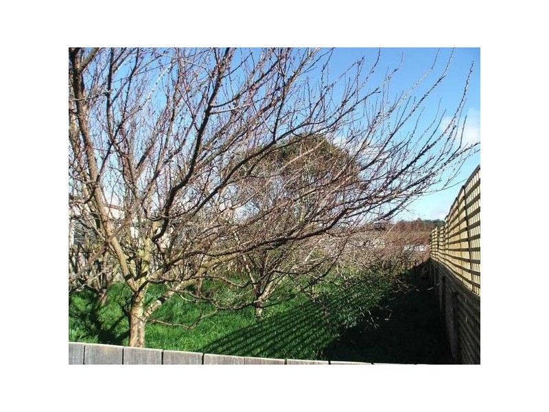568 Preston Road, North Motton TAS 7315