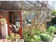 8 Mortimer Road, Penguin TAS 7316