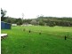 1521 Gunns Plains Road, Gunns Plains TAS 7315