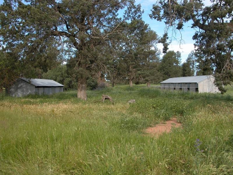 Wagga Wagga NSW 2650