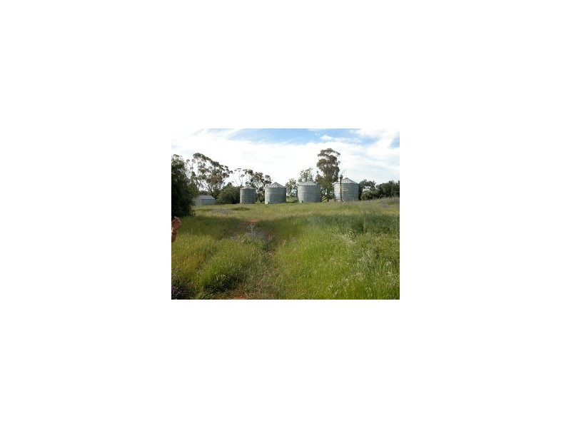 Wagga Wagga NSW 2650