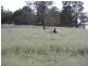 Wagga Wagga NSW 2650