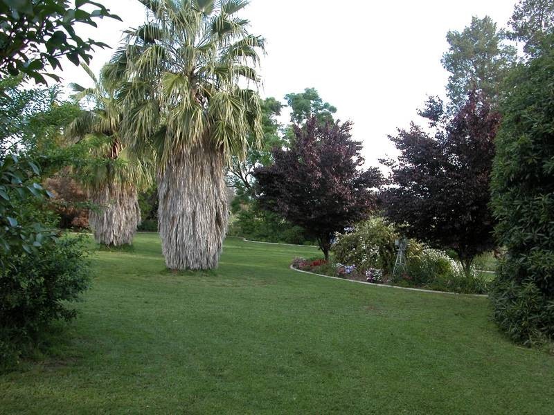 Wagga Wagga NSW 2650