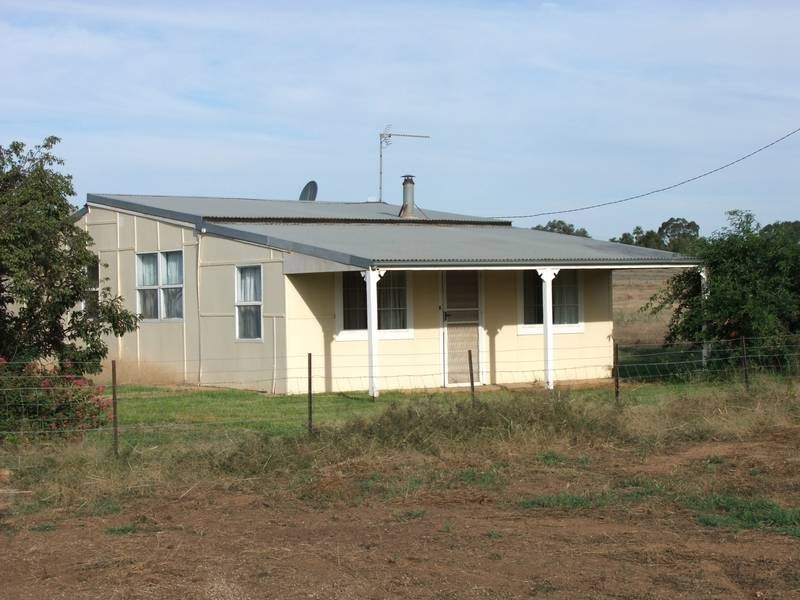 417 Hampden Avenue, Wagga Wagga NSW 2650