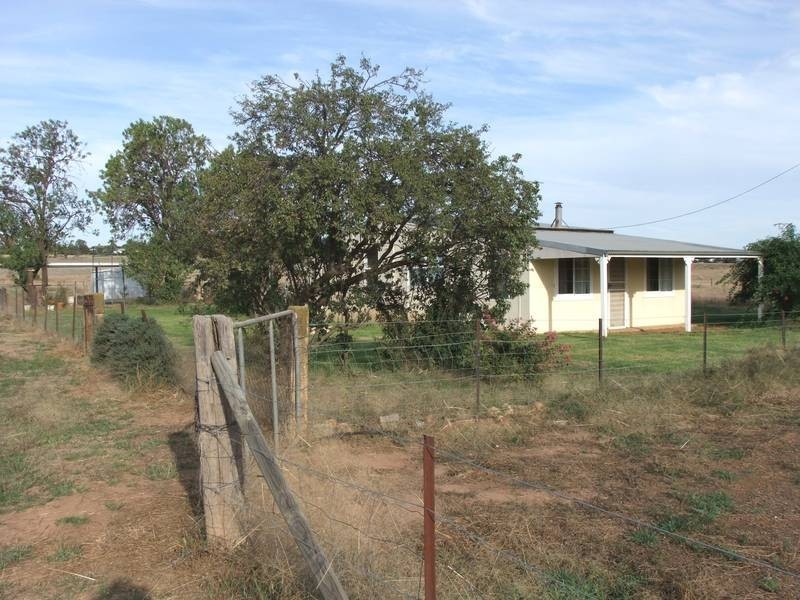 417 Hampden Avenue, Wagga Wagga NSW 2650