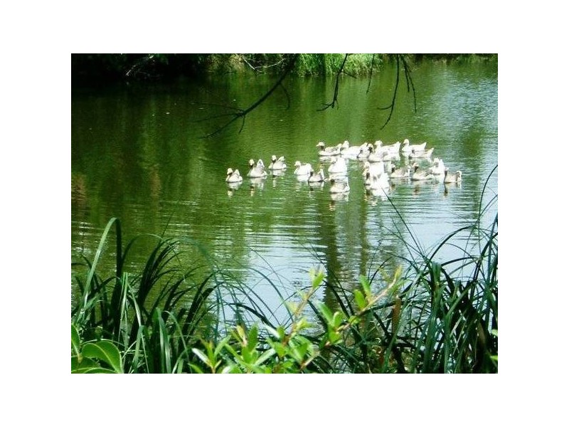 Wagga Wagga NSW 2650