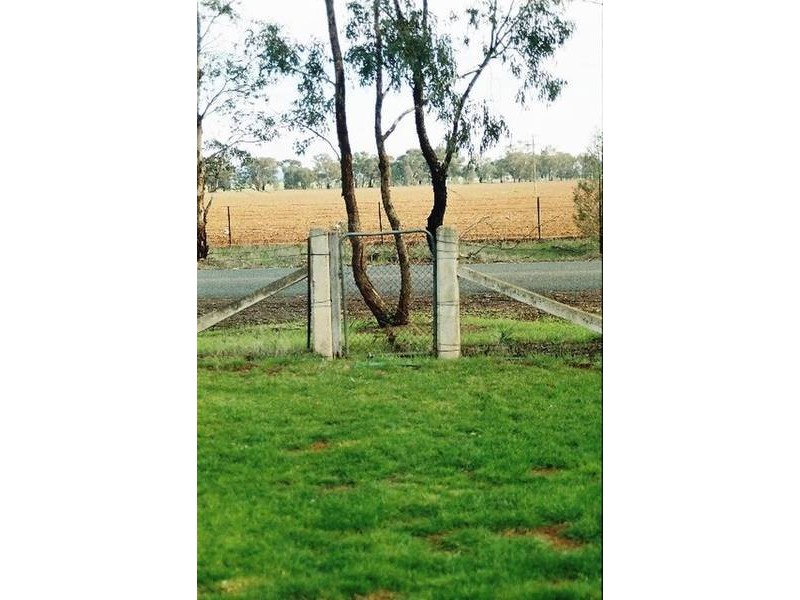 Coursing Park Road, Wagga Wagga NSW 2650