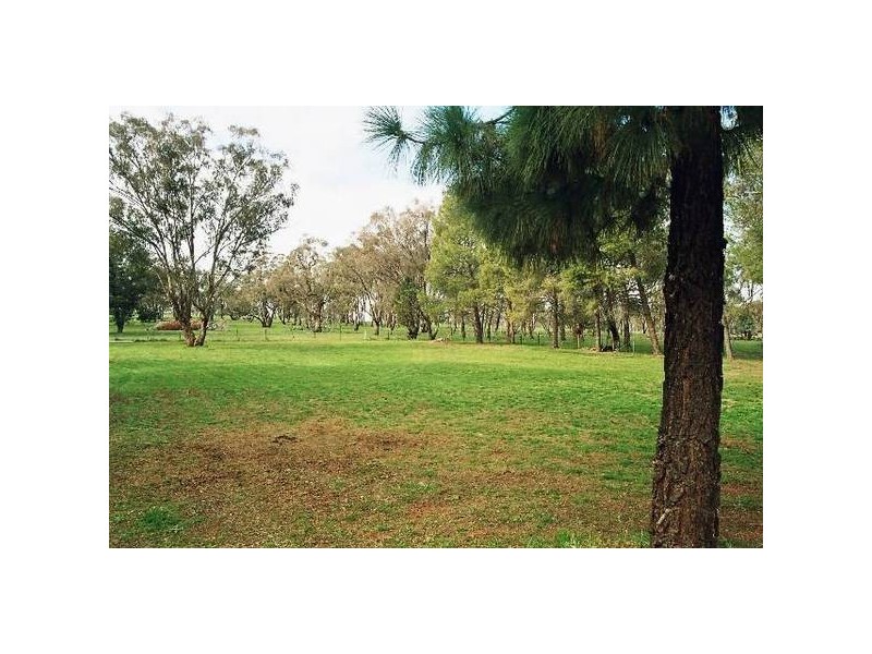 Coursing Park Road, Wagga Wagga NSW 2650
