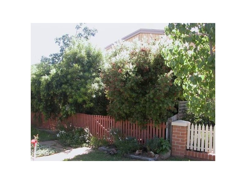 Wagga Wagga NSW 2650