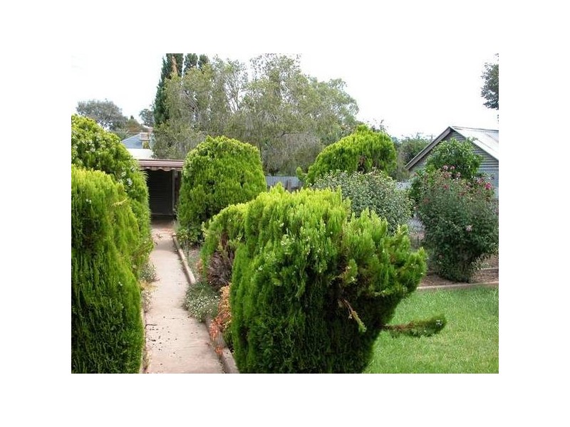 26 Docker Street, Wagga Wagga NSW 2650
