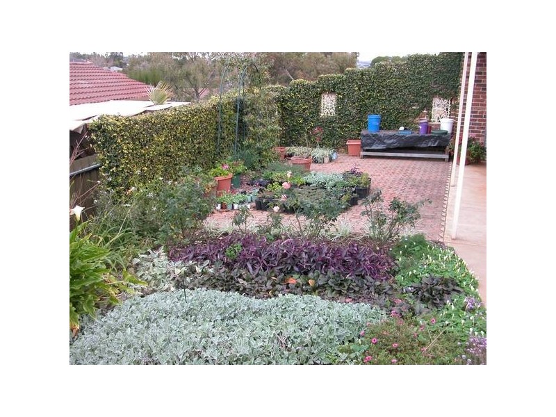 Wagga Wagga NSW 2650